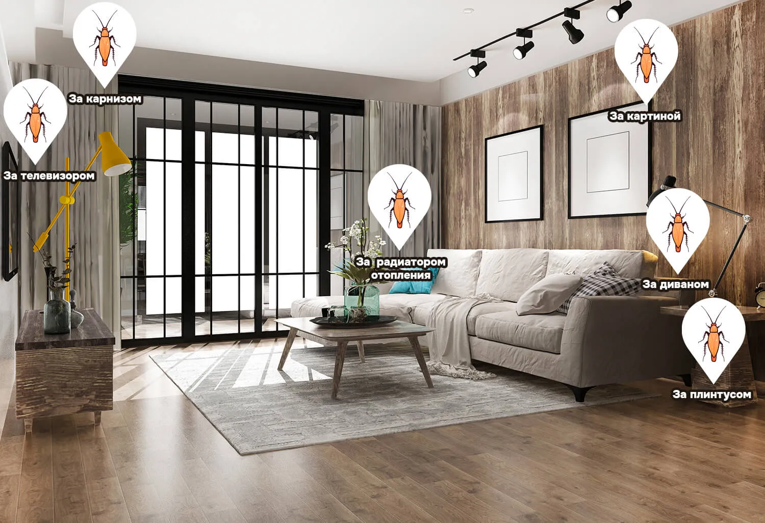 где живут тараканы в гостиной, в зале