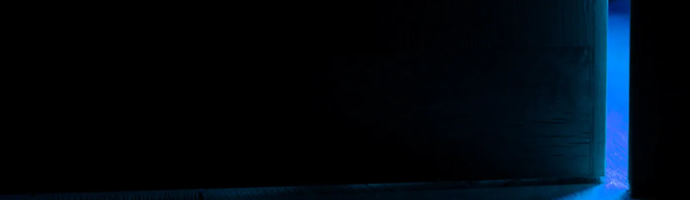 тараканы живут в темных местах