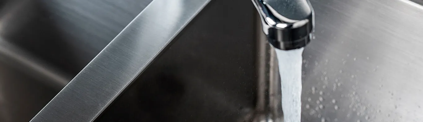 тараканы живут радом с водой