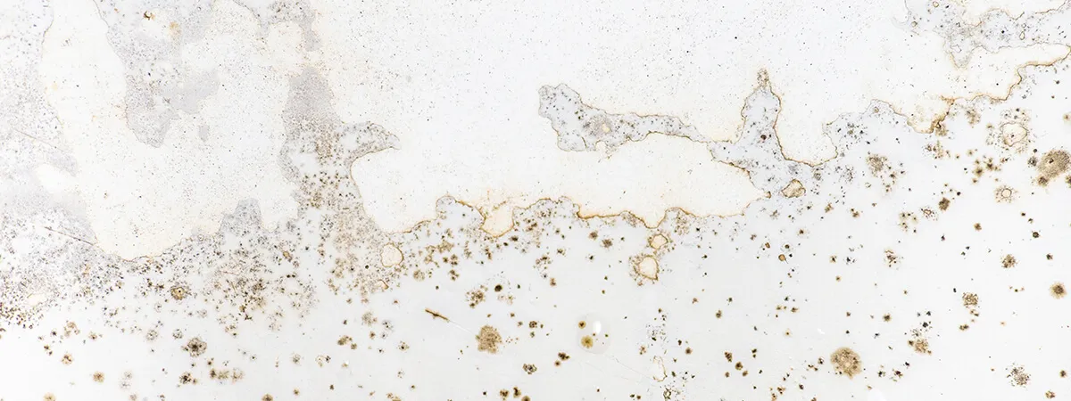 Почему появляются желтые пятна на стенах