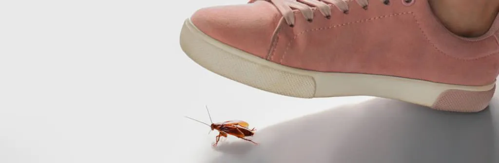 К чему снится давить тараканов