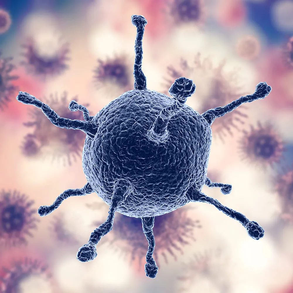 Тараканы переносят заболевания