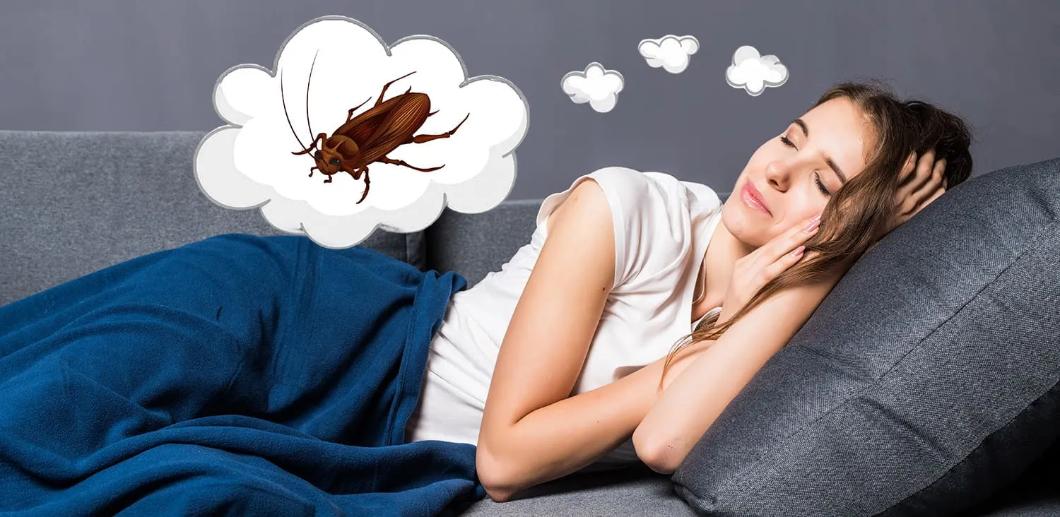Значение снов про тараканов