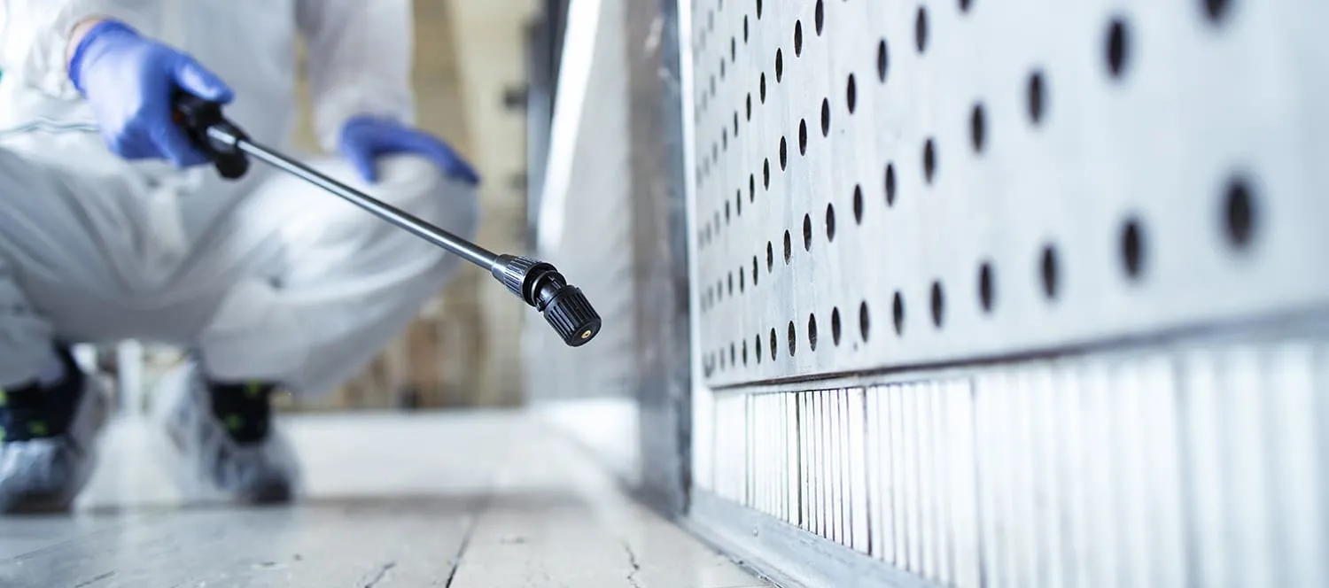 Как избавиться от тараканов в квартире