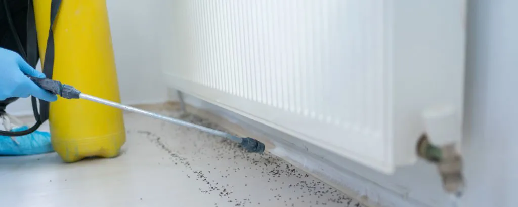 Как потравить тараканов