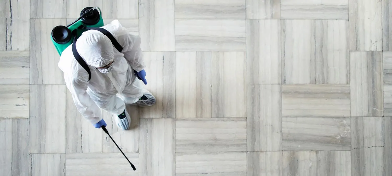 Дезинфекция от тараканов